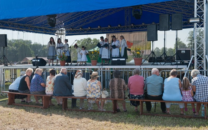 PIKNIK 2012 026